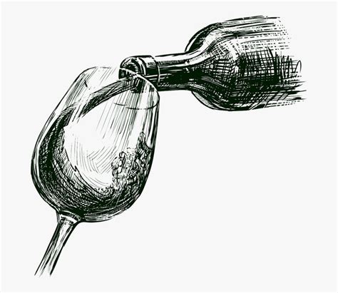 Bottle Drawing Wine Bottle Drawing Pouring Wine