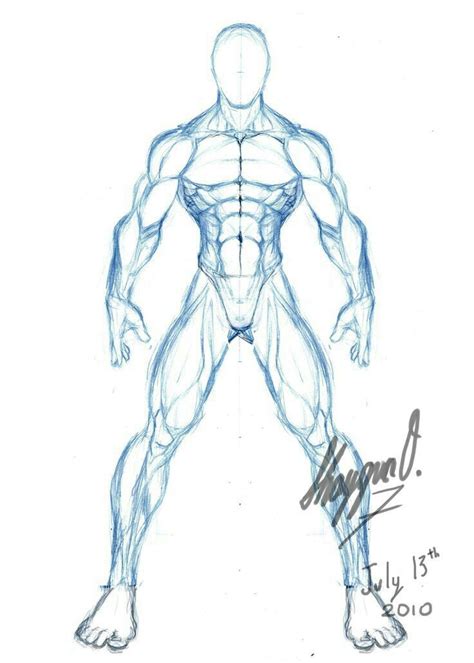 Anatomia | Arte de anatomía humana, Dibujo anatomia humana, Arte de