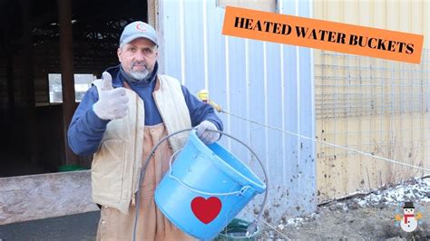 10qt plastic flat back bucket with a coiled cord in the bottom that when plugged in, will keep the perfect for dogs or small farm animals. HEATED WATER BUCKETS FOR HORSES ( 2019 ) - YouTube