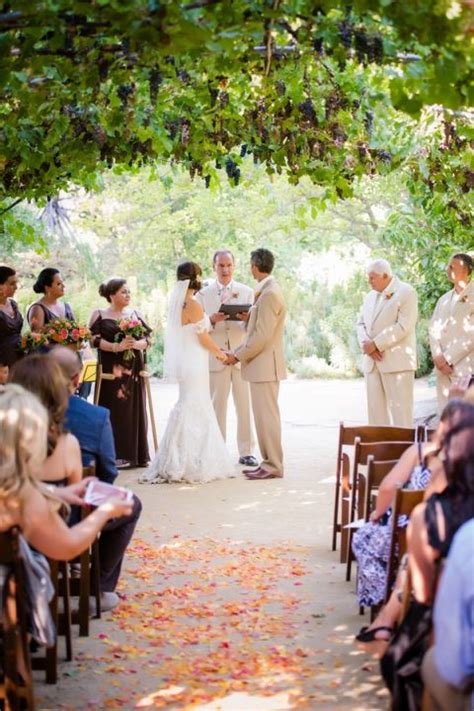 Colorful And Classic Vineyard Wedding In Northern California Hey