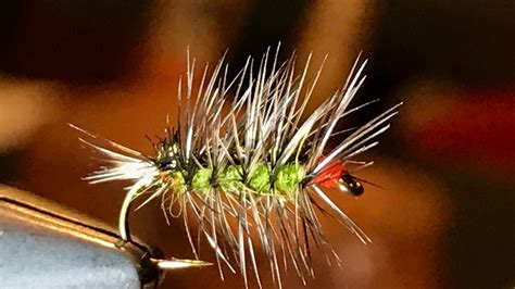 How To Tie Ed Storys Crackleback Fly Tying Patterns Fly Tying Fish