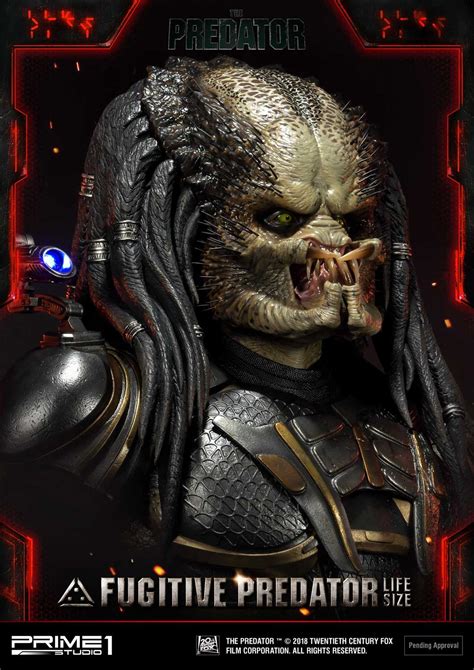 A group of elite warriors parachute into an unfamiliar jungle and are hunted by members of a merciless alien race. Life Size The Predator (Film) Fugitive Predator By Prime 1 ...