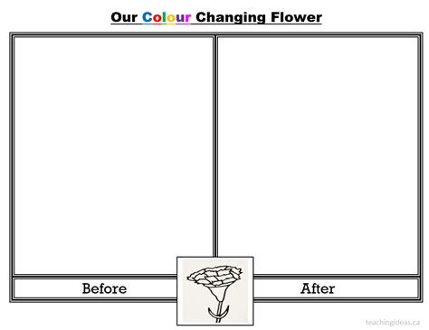 Continue this color changing experiment with different types of flowers and dyes. Simple Science Experiments - Colour Changing Flower ...