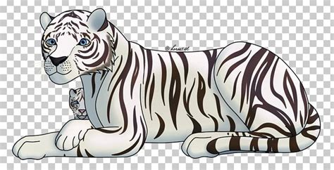 White Tiger Drawing Bengal Tiger Sketch Png Clipart Animal Figure
