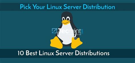 10 Best Linux Server Distributions Of 2020 Rlinux4noobs