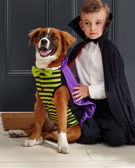 Matching Owner And Dog Costumes For A Pet Rifyingly Cute Halloween