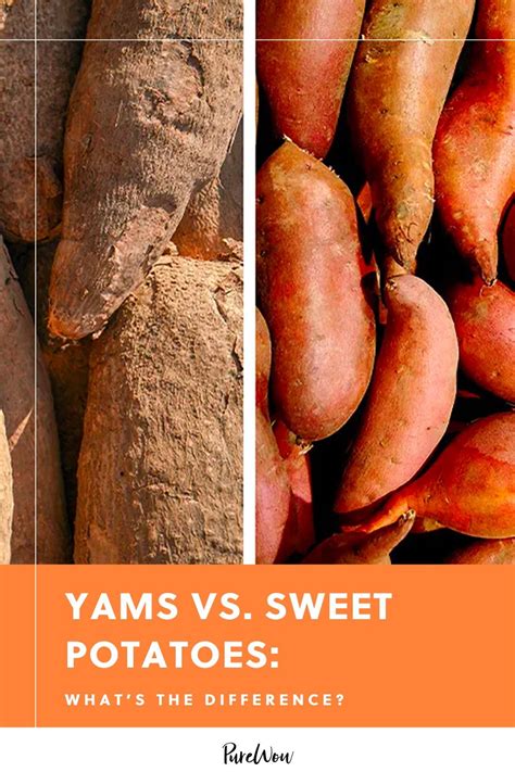 Yams Vs Sweet Potatoes Are They The Same The Answer Is No In Fact