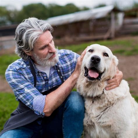Age Is Just A Number Why Adopting An Older Dog Could Be The Perfect