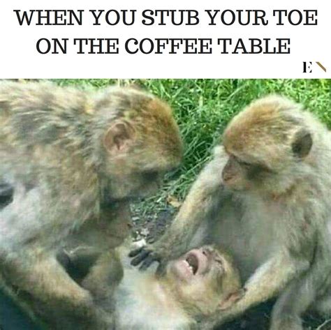 Bookmark us today and have fun with some slapstick entertainment! 26 Utterly Random Memes Everyone Should Laugh At This ...