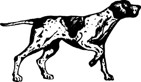 German Shorthaired Pointer Embroidery Design