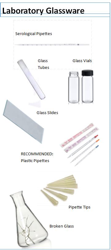 Discover 4 ways to use label templates in microsoft word. Sharps Label Template - Biohazards Caution Label Regulated Medical Waste Sharps Hcl Labels Inc ...