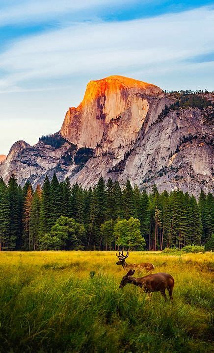 Free Image On Pixabay Yosemite National Park California National