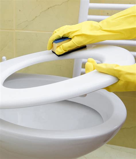 Je recherche 2 lunettes de wc avec abattants. Lunette De Wc Clipsable Personalisable ~ Papado La Lunette ...