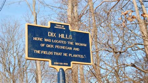 Dix Hills Park Pool To Become More Handicapped Accessible Newsday