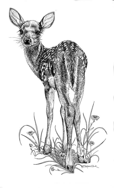 I like using higgins black magic ink, which is waterproof when dry, so i can paint over it and the ink won't run. doe pen ink drawing | Pen and Ink and Pencil Drawings ...