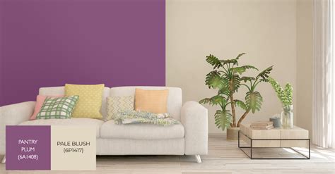 Inspiring Two Colour Combination Ideas For Your Home Walls Berger