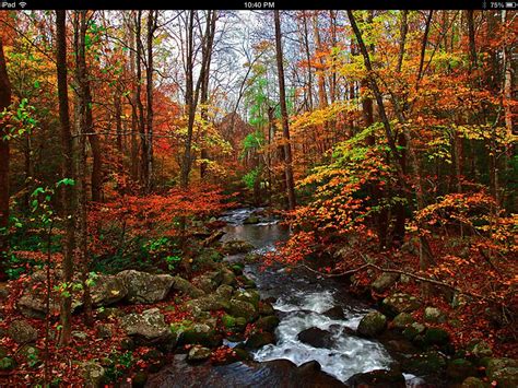 Pin By Cat Grist On Beautiful Landscapes Smoky Mountain National Park