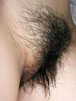 Hairy Bush Porn Pictures Naked Hairy Women Free Hairy Porn