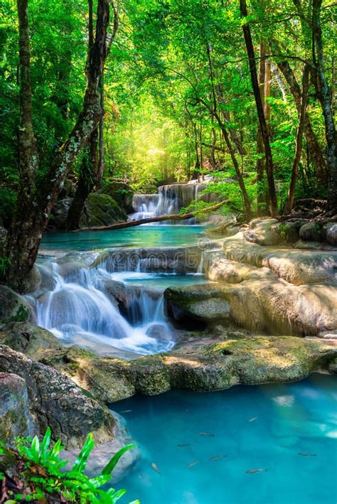 Beautiful Waterfall In Thailand Tropical Forest Stock Image Image Of