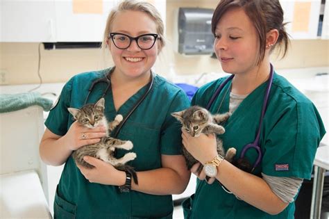 Shahid 4 U Veterinary Assistant Careers At Banfield Pet Hospital