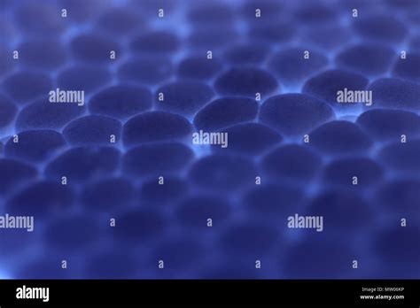 Blue Foam Plastic Texture Abstract Styrofoam Background Macro Closeup