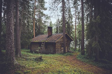 Free Images Tree Nature Forest Outdoor Wilderness Wood House