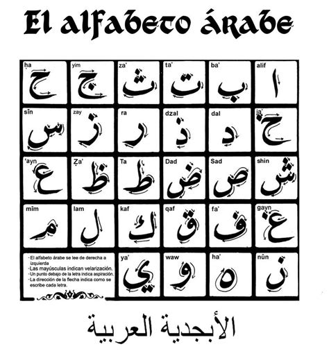 Cuántas palabras tiene el Árabe marzo 2024