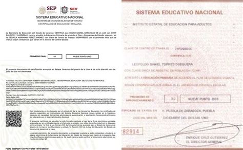 SEP Cómo descargar el certificado de estudios de primaria y secundaria