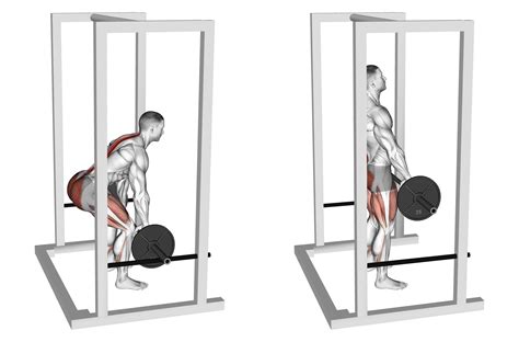 3 Highly Effective Rack Pull Alternatives With Pictures Inspire Us