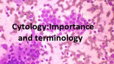 Cytology Importance And Terminology