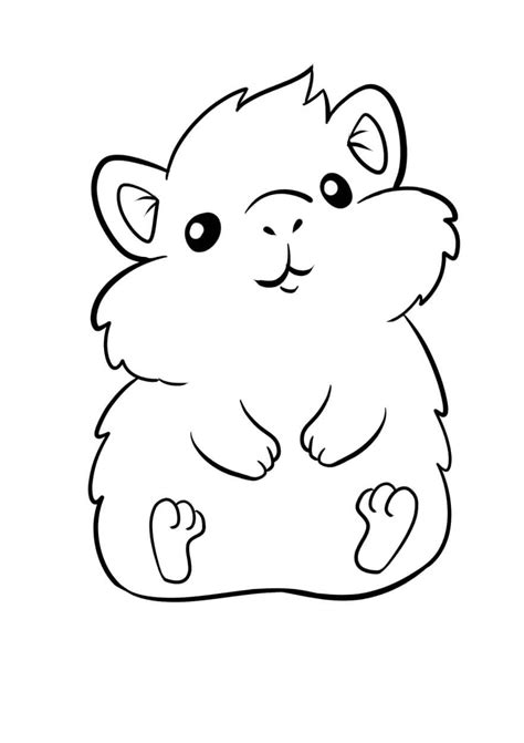 Pequeno Hamster Sentado Para Colorir Imprimir E Desenhar Colorir Me