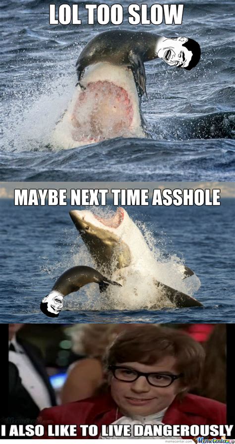 Check spelling or type a new query. RMX Seal Pup Likes To Live Dangerously by dedede - Meme ...