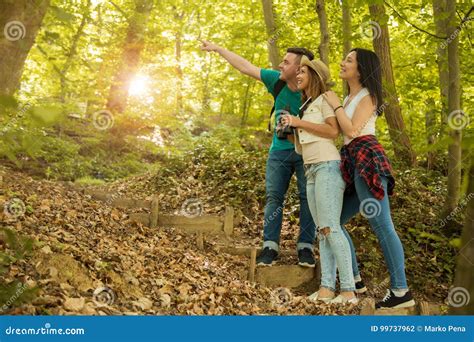 Group Of Friends Hiking Through The Forest Stock Photo Image Of
