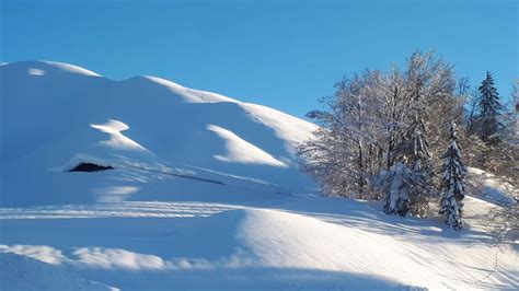 Lässt man die zugspitze (hier liegt ganzjährig schnee) außen vor. Jänner mit Schnee-Rekorden in Tirol, Februar beginnt ...