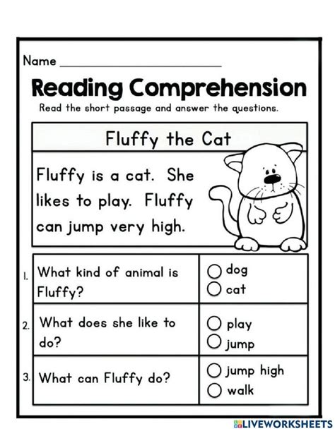Fluffy The Cat Reading Comprehension Worksheet Reading Comprehension