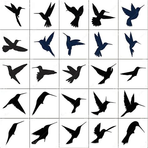 Collection Of Humming Bird Iconssilhouettessidespositionsshape