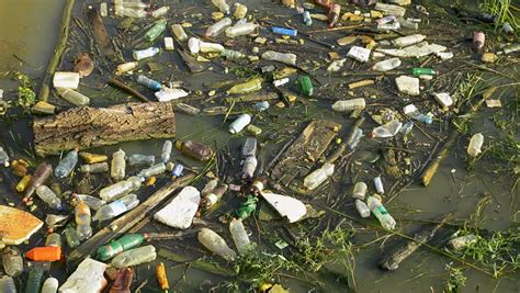 Trash And Garbage Floating On The Surface Of The Water Water Pollution