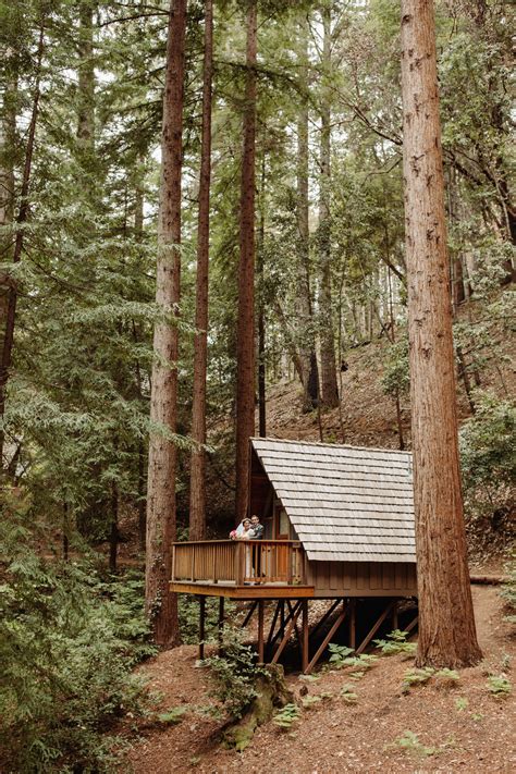 Best Redwood Forest Wedding Venues In California Melissa Ergo Photography