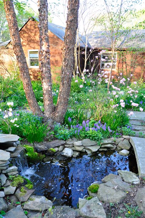 Main Line Ponds Water Garden And Waterfall Designs