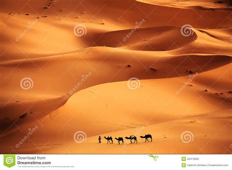 Sahara Desert Texture Orange Sand Patterns Stock Photography