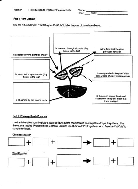 .period:_ photosynthesis diagrams worksheet part i: Week 15 Photosynthesis and Respiration | MrBorden's ...
