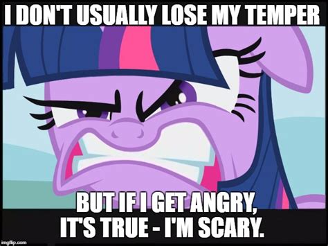 Angry Twilight Sparkle Imgflip