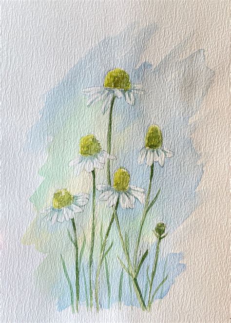 Original Watercolor Chamomile Flower Wall Decor Beatiful For Etsy In