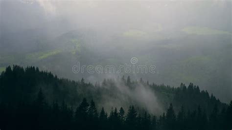 Rain Weather Mountains Misty Fog Pine Tree Forest Stock Footage Video