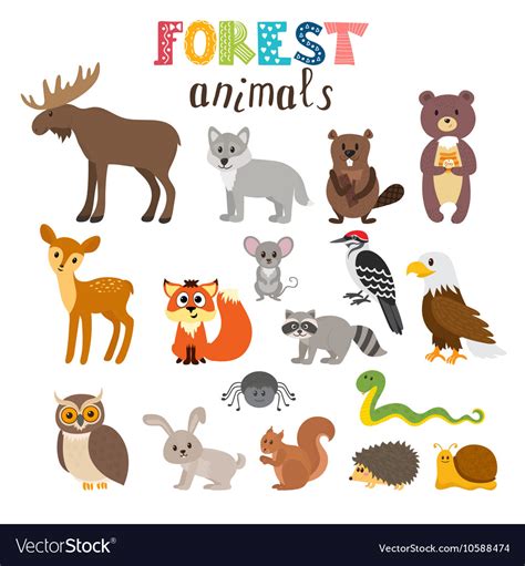 Set Of Cute Forest Animals In Woodland Cartoon Vector Image