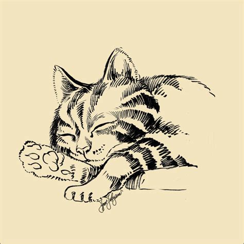 Cat kitten cartoon, sleeping cat, mammal, animals, cat like mammal png. Sleeping Cat Sketch