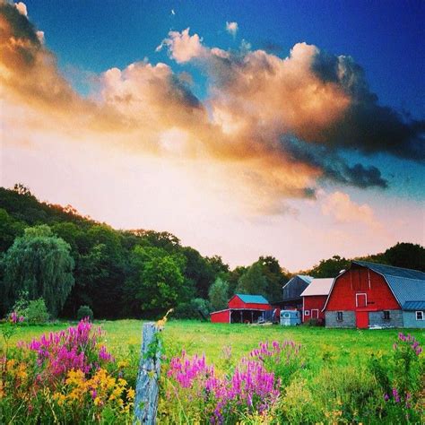 Countryside In The Hudson Valley New York Summer Flower And Barn In