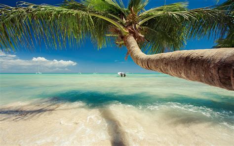 Caribbean Beach Desktop Wallpapers Top Free Caribbean