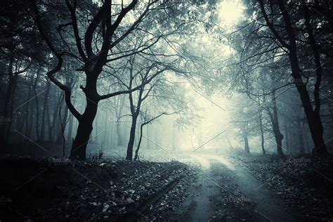 Path Through Surreal Forest With Fog Forest Photos Forest Path