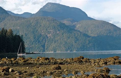 Knight Inlet Lodge British Columbia Majwick Flickr